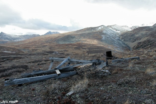 lilys-road_silver-rush-4