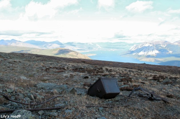 lilys-road_silver-rush-5