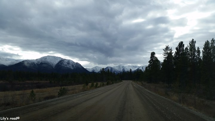 pvt-canada_lilys-road_annie-lake-road