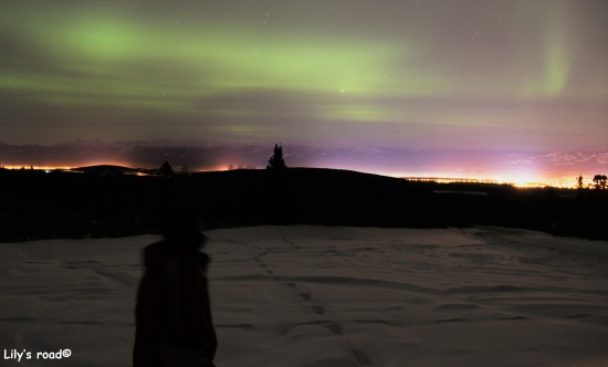 lilys-road_pvt-canada_yukon_aurore-boreale