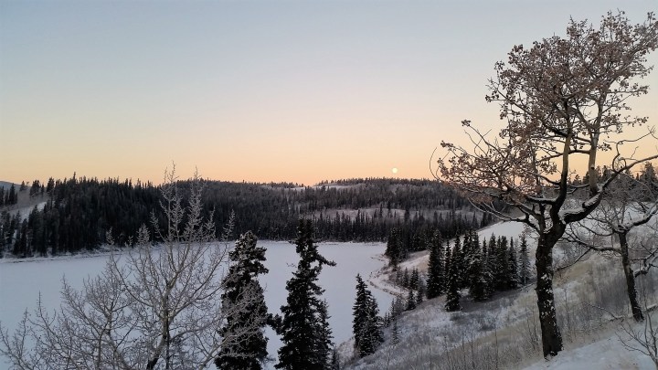 Lily's road_PVT Canada_Hidden Lakes_4