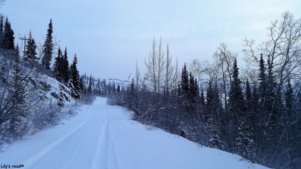 PVT Canada_Lily's road_Grey Mountain Road