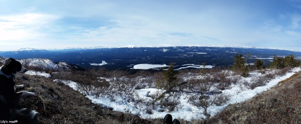 PVT Canada_Lily's road_Grey Mountain Road_Avril 17-3
