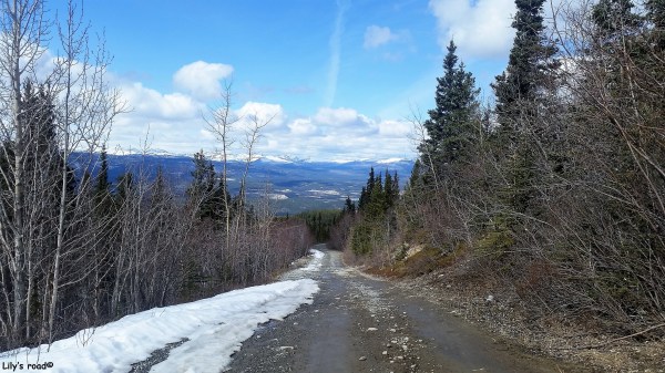 PVT Canada_Lily's road_Grey Mountain Road_Avril 17-Summit's day