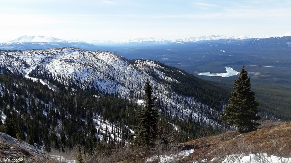 PVT Canada_Lily's road_Grey Mountain Road_Avril 17