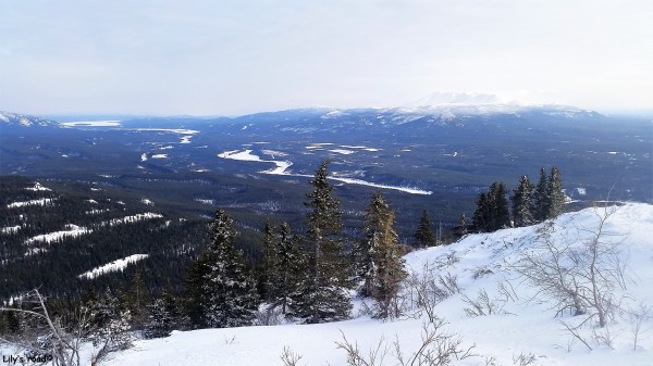PVT Canada_Lily's road_Grey Mountain Road_Mars 17-Panorama