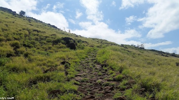 Maui_Blog voyage_Lily's road_Lahaina Pali Trail