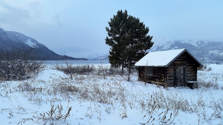 Lily's road_Carcross