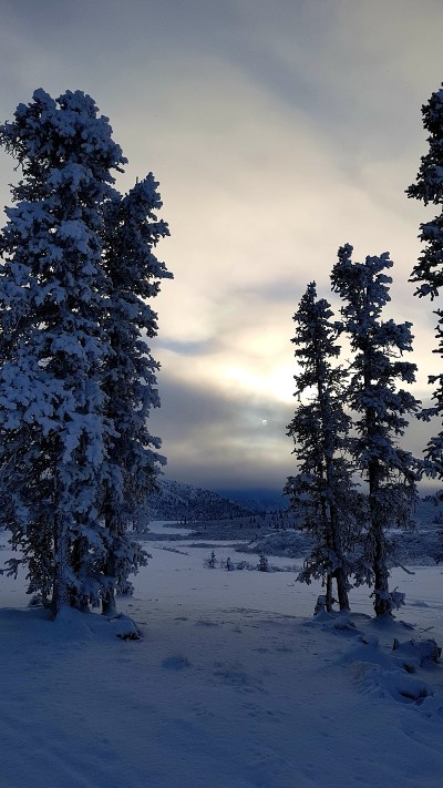 canada_yukon_cabane dernier trappeur (4)