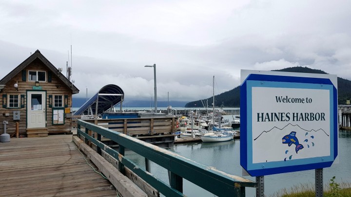 Haines (9)